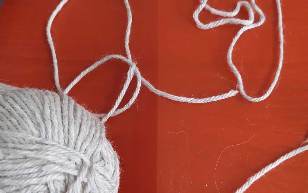 POLILLAS EN CASA: cómo eliminarlas