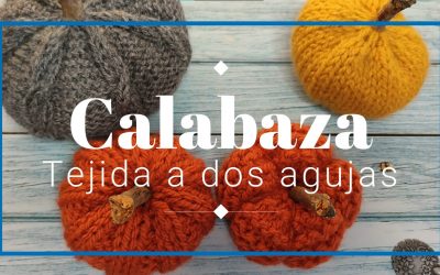 Cómo tejer calabazas a dos agujas paso a paso